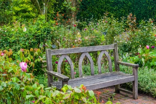 A quiet garden bench