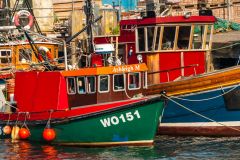 Boats in Rothesay harbour
