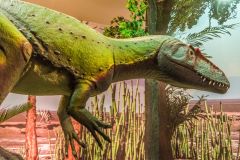 Model of a megalosaur hunting