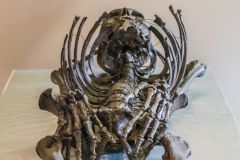 Ribcage of the Gristhorpe Man skelton