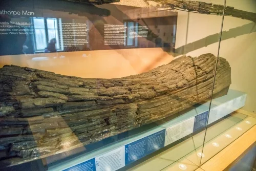 Gristhhorpe Man's treetrunk coffin