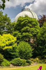 The Observatory dome from Observatory Gardens