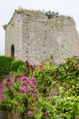 Another view of the castle keep