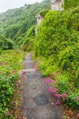 Looking down towards Church Ope Cove