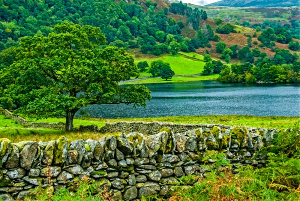 Drystone walls beside Rydal Water