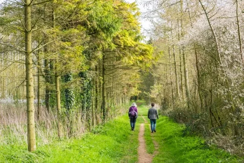 On the path to Chipping Norton