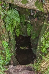 Looking inside the well chamber