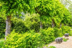 Benches in the rear garden