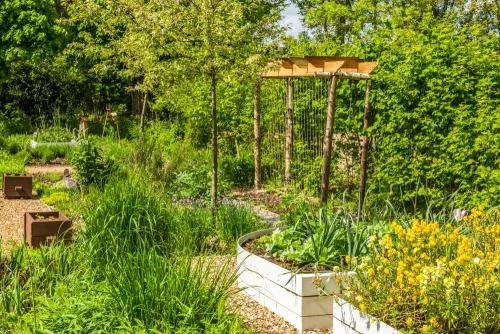 The peaceful rear garden