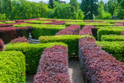 Hedge maze in the gardens