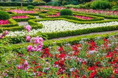 In the walled gardens