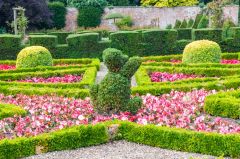 Beautifully clipped hedges in the formal gardens