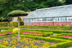 Beautiful colours in the walled garden