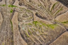 The second tympanum beast carving