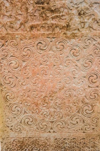 Triskele patterns on the landward side