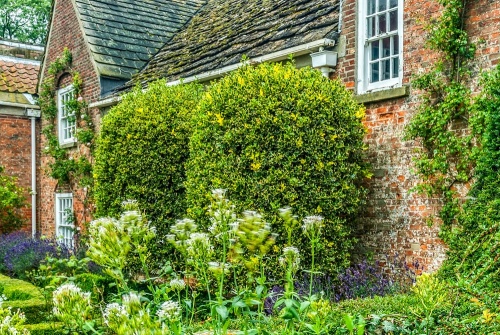 Shandy Hall, Coxwold