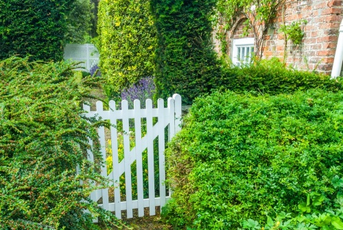 The garden gate