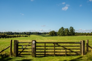 Charles Bridgeman's landscaped parkland