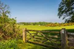 Sheringham Park, Looking out over fields to Sheringham Hall