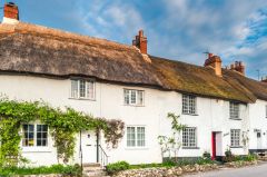 A terrace of thatched cottages