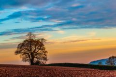 Sunset over farm fields, Sidbury