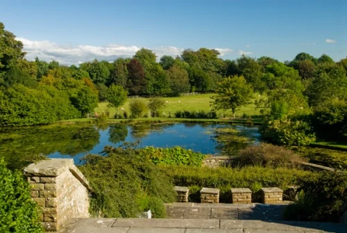The gardens from the Castle steps