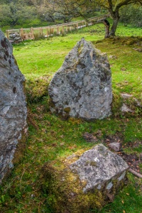 Upright stones supporting the burial chamber