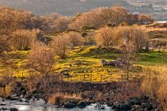 St Columba's Isle from the shore