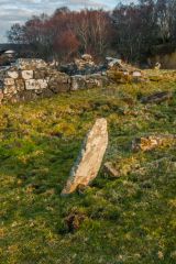 Historic grave stones in the burial ground