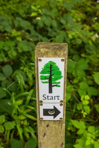 Follow the Champion Tree Trail signposts