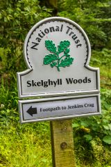 Follow the signposted trail to Jenkins Crag