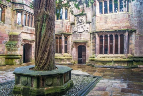 Conduit Court and the ancient yew tree