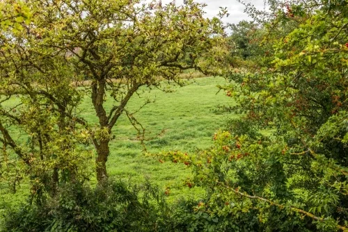 The castle from the south
