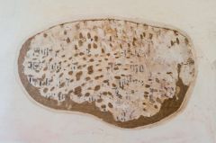 Preserved painted text above the consecration cross