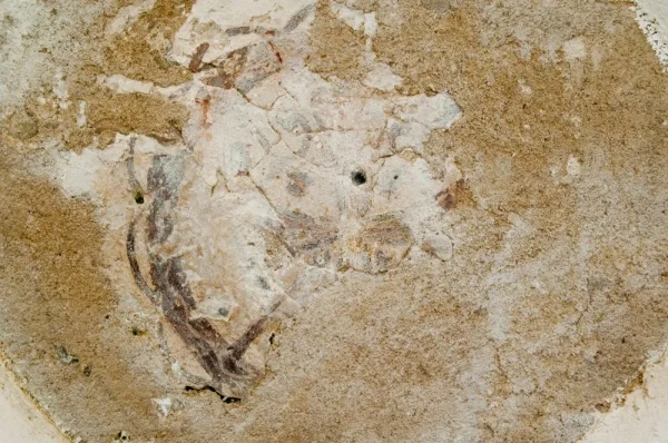 Remains of a 13th century consecration cross