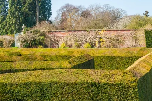 The Somerleyton Hall maze