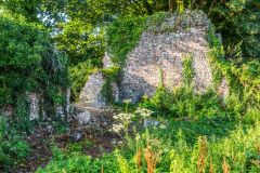 Some of the ruins are covered in foliage