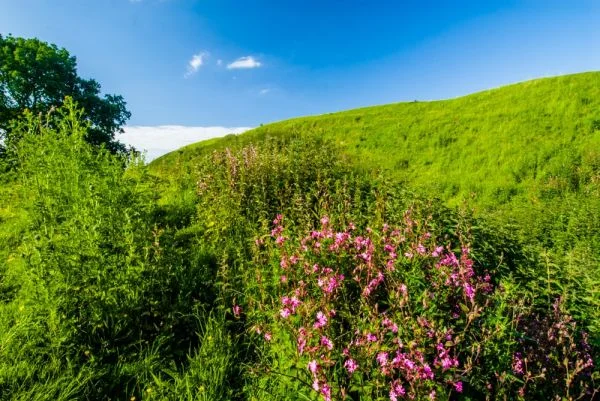 The South Cadbury earthworks