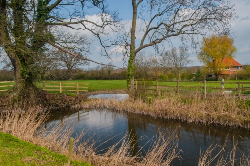 The bishop's palace moat