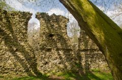South Elmham Minster, The ruined nave walls