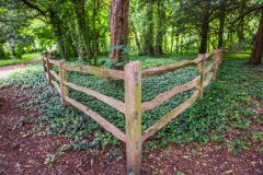 The Priory trail through The Wilderness woods