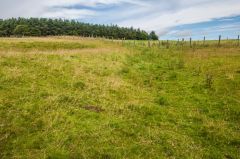 Looking west along Dere Street