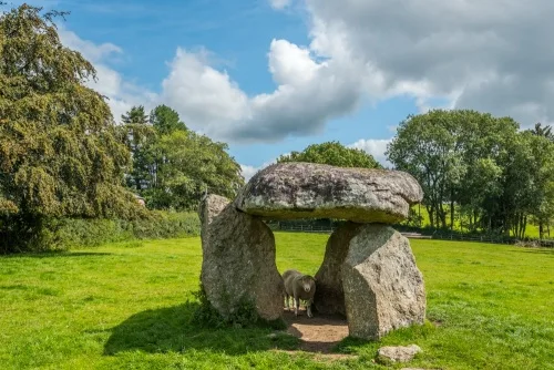 Spinsters' Rock from the west (note the sheep under the dolmen)