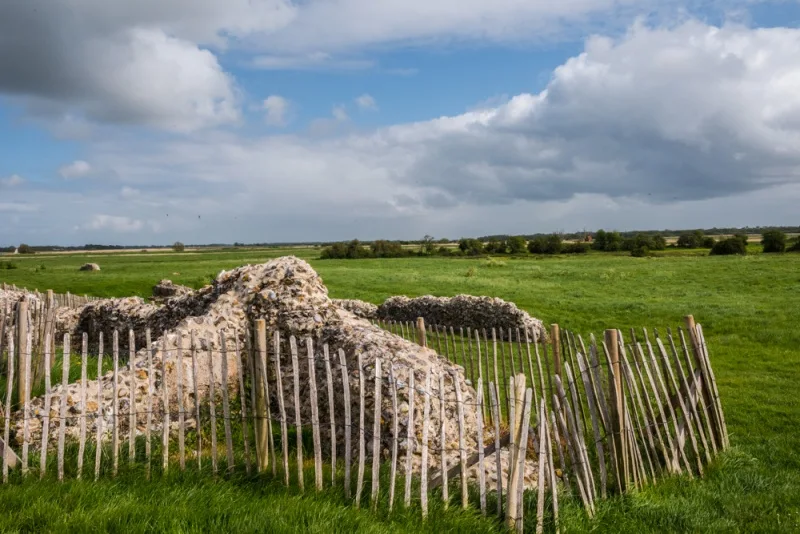 Ruins of the abbey church