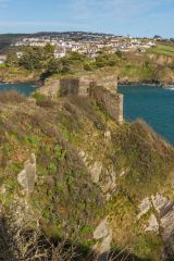 St Catherine's Castle from above