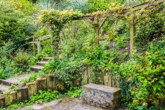 The contemplation garden