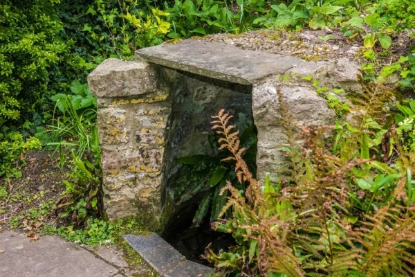 The well-head