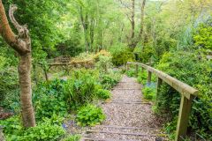 Descending steps to the well