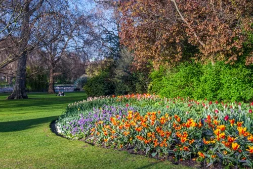 Formal flower beds in spring