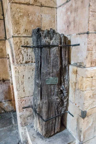 Timber piling from the Roman river wall